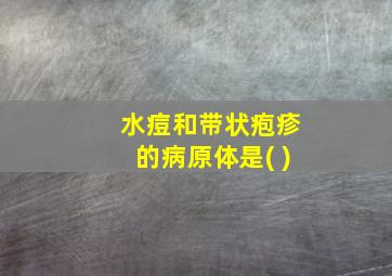 水痘和带状疱疹的病原体是( )